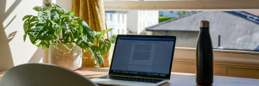 A laptop, bottle and plant on a sunlit desk