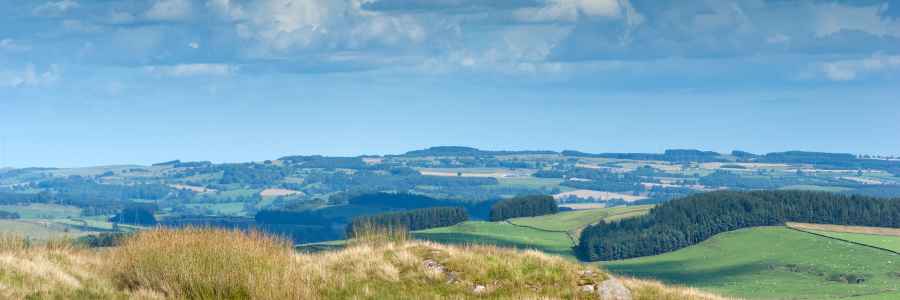Northumberland landscape.
