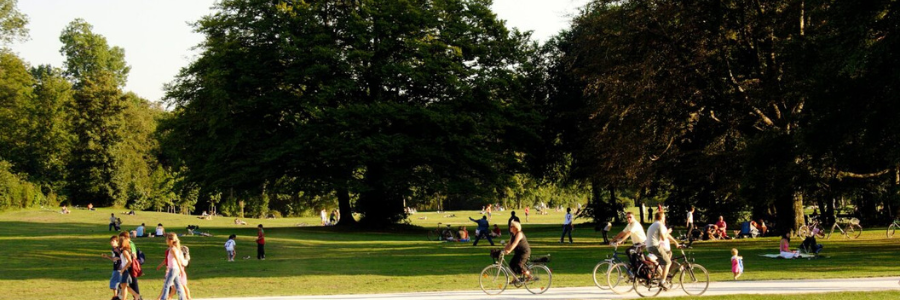A sun lit park with people cycling and walking.