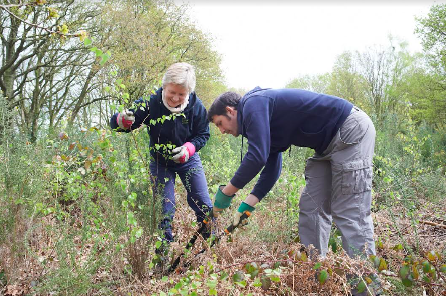 Two people gardening together.