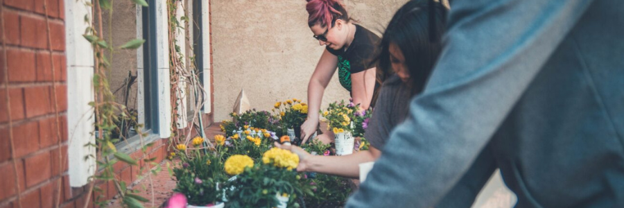 Close-up of people planting flowers.