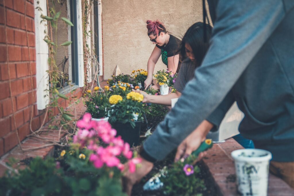 Close-up of three people planting pink and yellow flowers