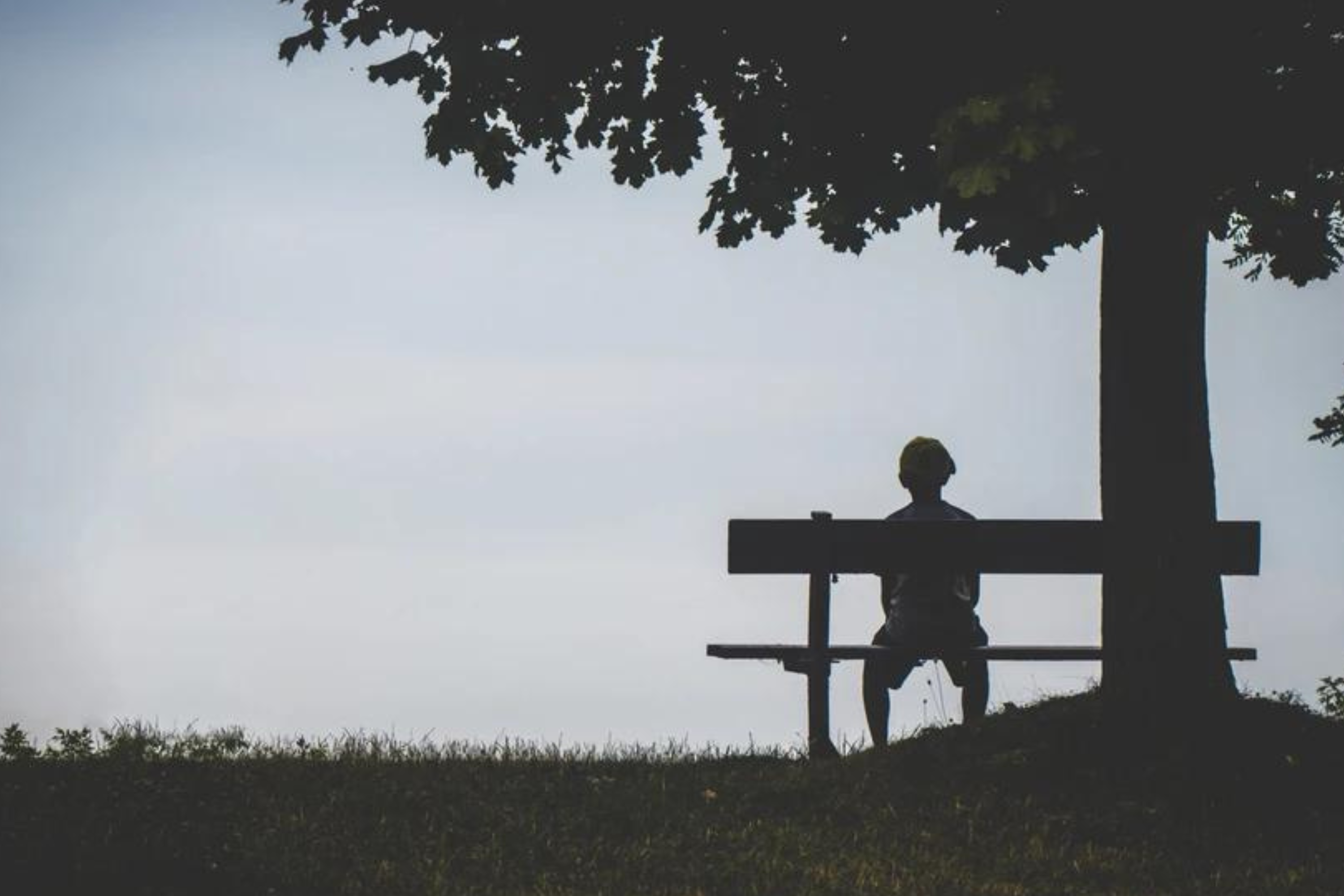 A silhouette of a person sitting alone on a bench under the shade of a tree, set against a clear sky, conveying a feeling of solitude.
