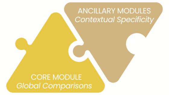 Explainer graphic - 'ancillary modules and core module'