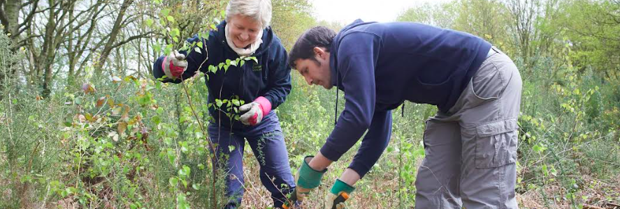 Two people gardening together.